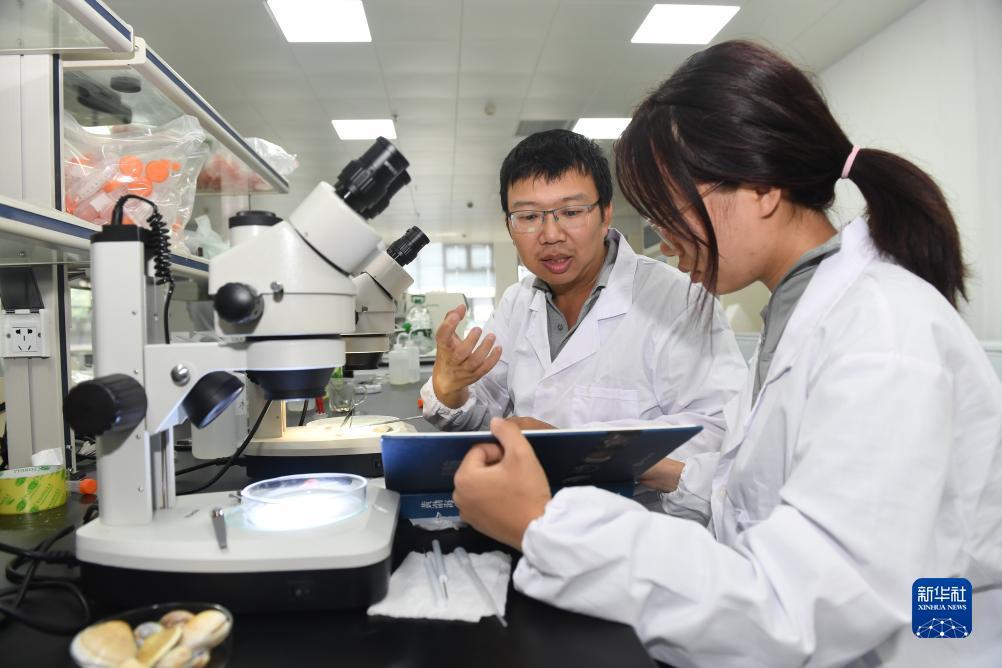 奥门新浦京游戏怎么样